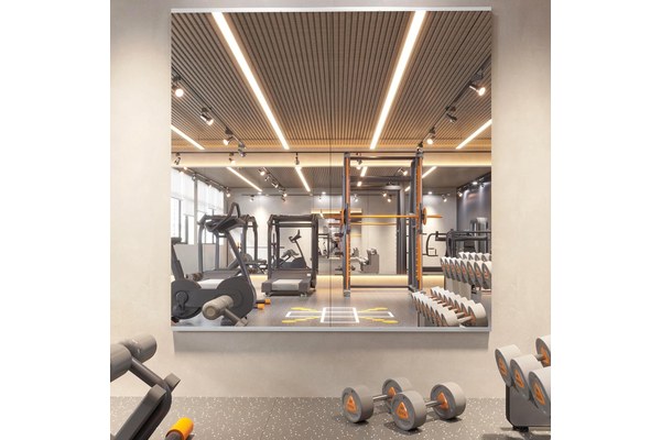 Tall Wall Mirror — Gym Quality